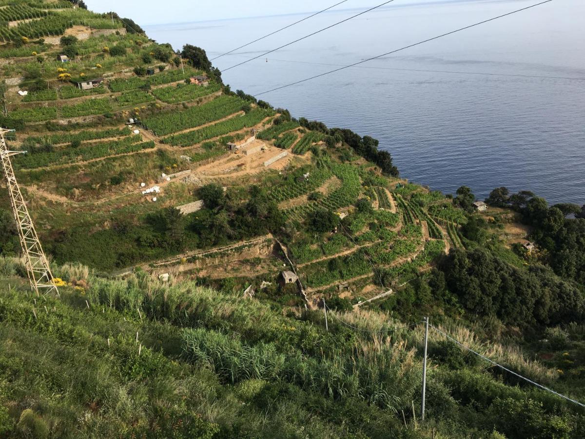 Апартаменти Le Cinque Vele ***** Cinque Terre Монтероссо-аль-Маре Екстер'єр фото