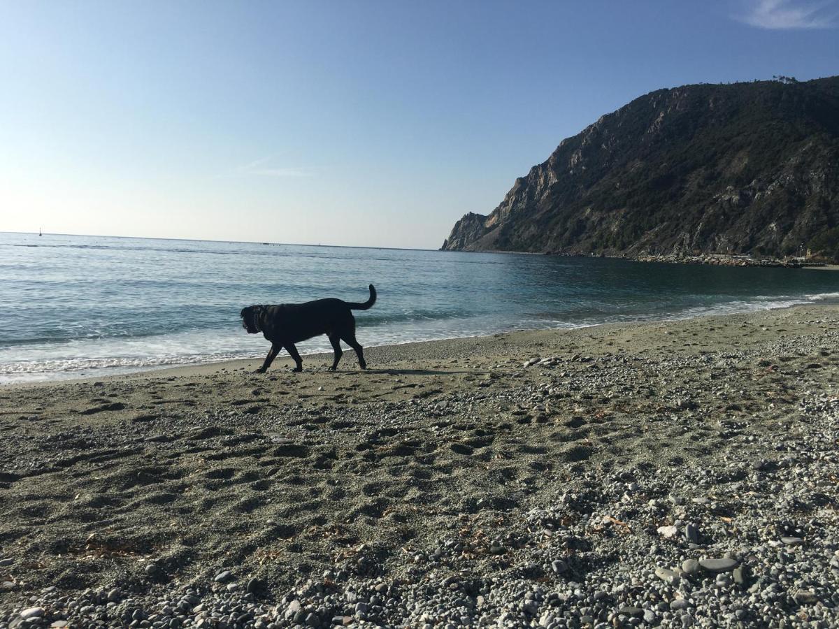 Апартаменти Le Cinque Vele ***** Cinque Terre Монтероссо-аль-Маре Екстер'єр фото